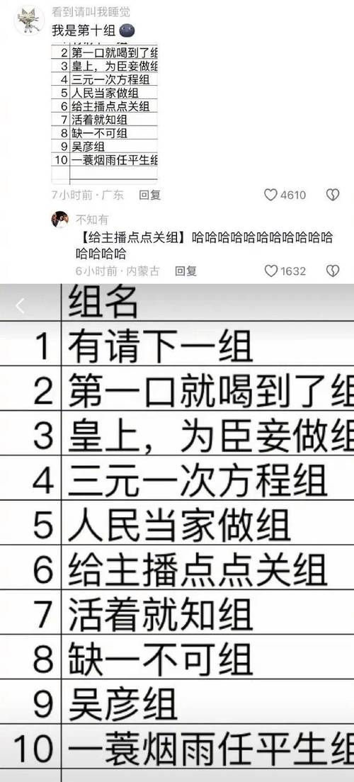 有没有什么搞笑创意，嫩将‘沙雕’这个词改成一个小组名字的？