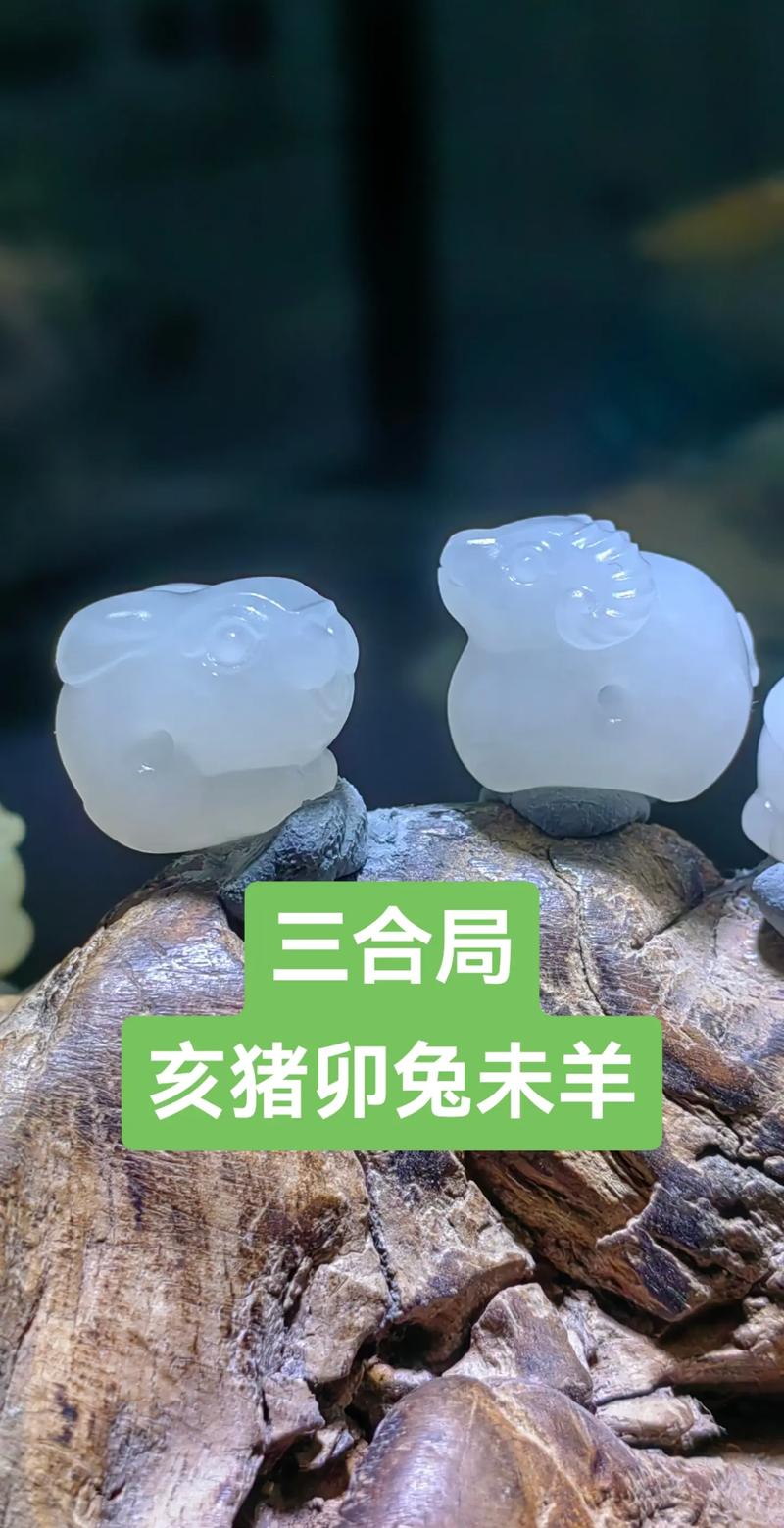 属兔的人佩戴什么生肖的配饰最合适，能否与属虎的生肖相搭配呢？
