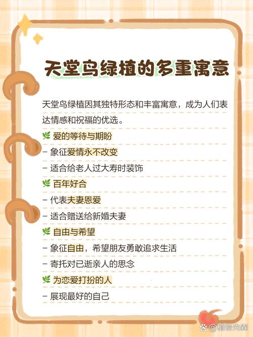 天堂鸟放在办公室有什么寓意？适合摆放吗？风水上最佳位置在哪里？