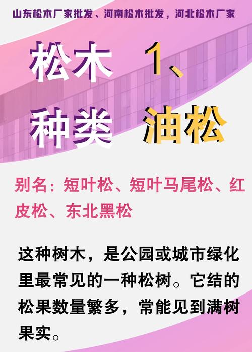 松木的五行属性是什么松字在五行中属于哪一类？