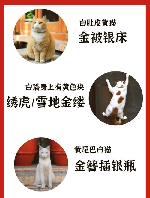 寓意吉祥的古代风宠物名，嫩否透露一二，让人心生欢喜？