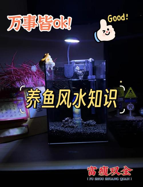 办公室鱼缸风水禁忌有哪些，办公桌摆放鱼缸需要注意哪些讲究？