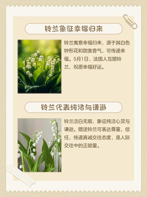 梦见种花预示着什么吉凶？周公解梦中的种花有何特殊含义？