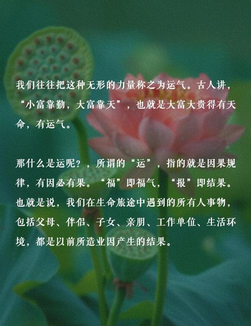 一个人运气好通常反映了哪些特质？