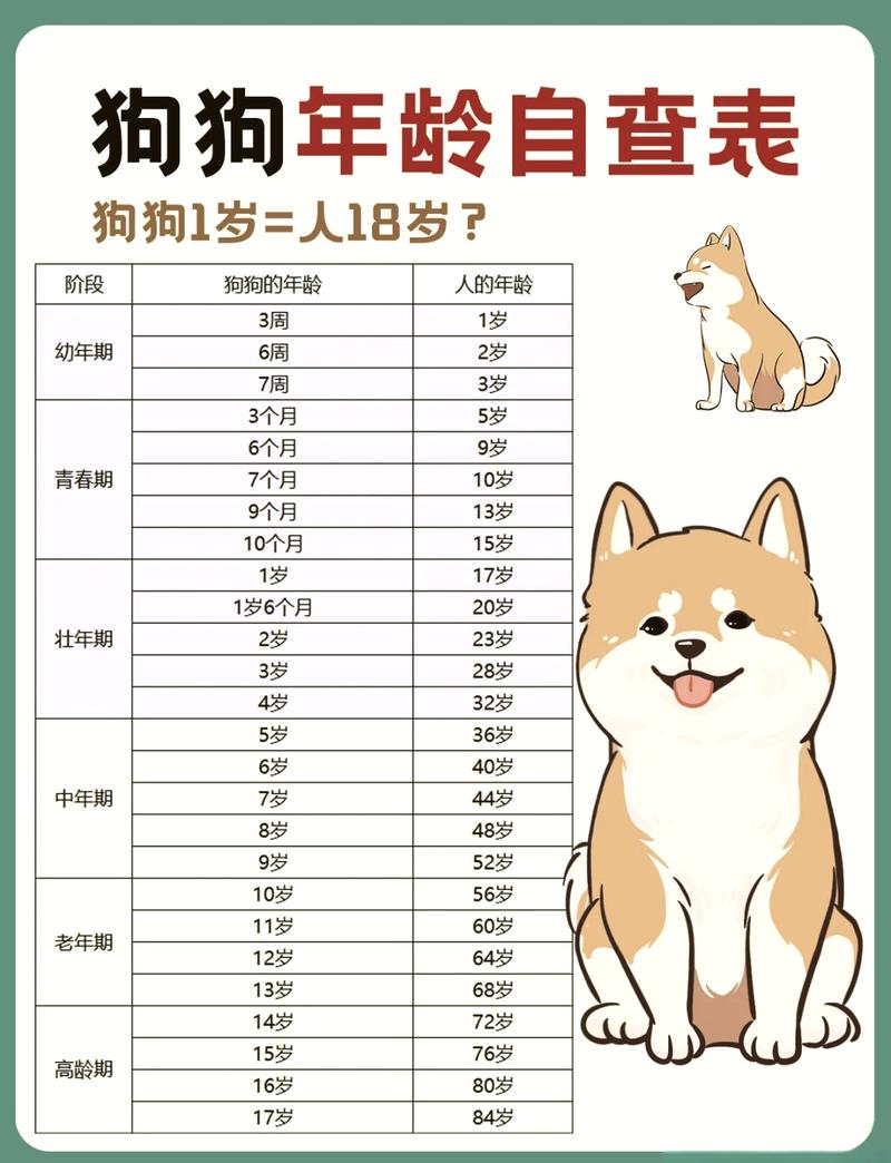 26岁和44岁属狗的人性格特点有何不同？