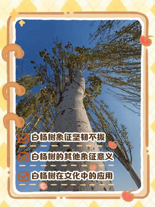 96名字的含义是什么它有什么特别的寓意吗？