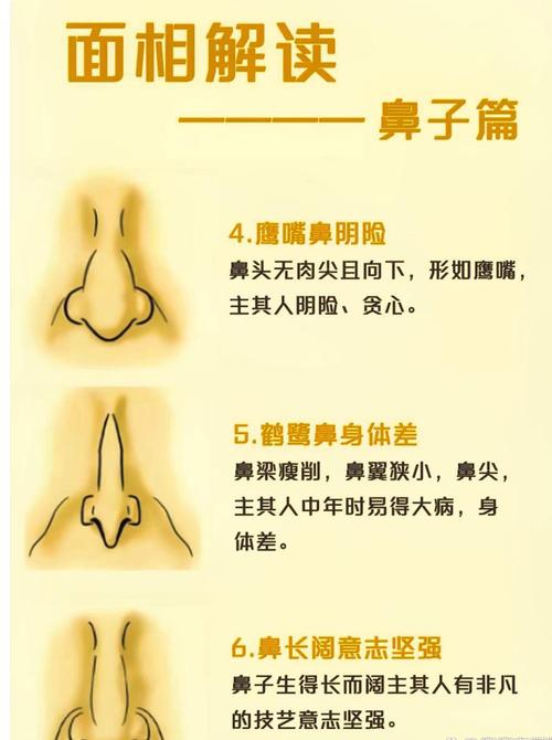 鼻子孔大的女人命运如何？面相鼻小孔大预示着什么？