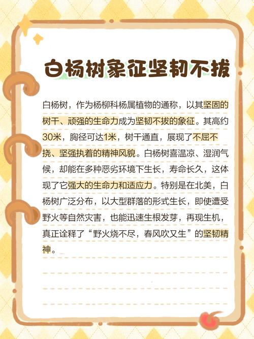 96名字的含义是什么它有什么特别的寓意吗？