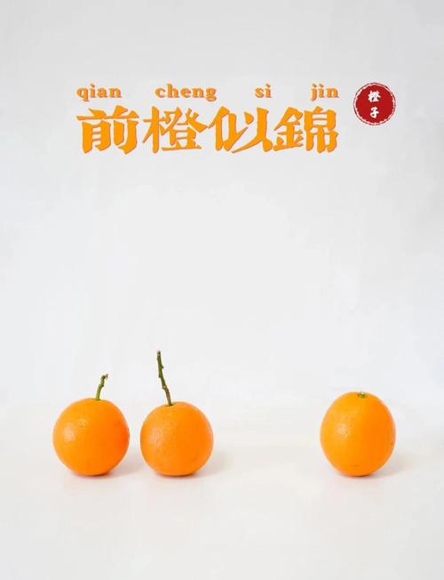 语橙和雨橙哪个名字的寓意更美好，更能体现女孩的特质？