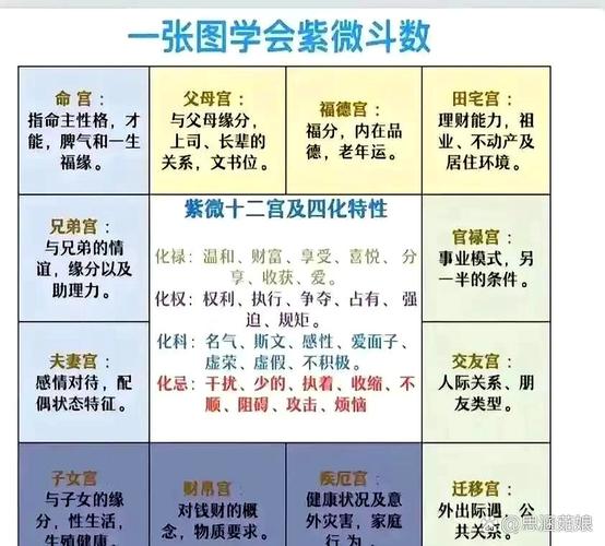 紫微独坐子午，午宫五行属性究竟是什么？