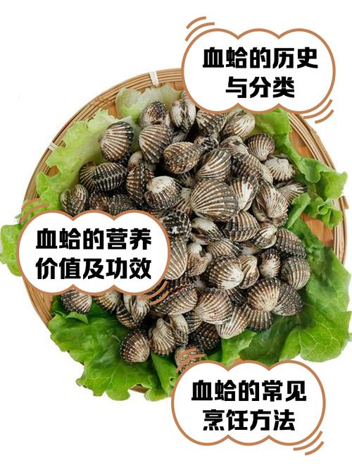 梦见被蛤蜊咬有什么征兆？预示着好运还是不幸？