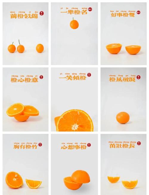 语橙和雨橙哪个名字的寓意更美好，更能体现女孩的特质？