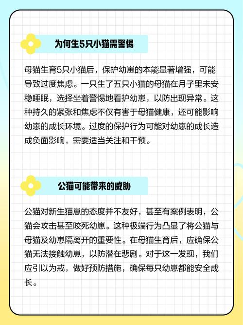 为什么母猫生下一只小猫会被认为是不吉利的象征呢？