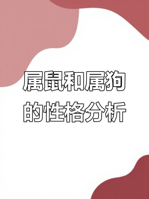 属狗与属鼠合作在事业上是否相得益彰？