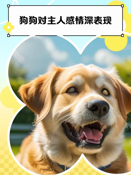 狗狗对主人感情深，通常会有哪些表现呢？