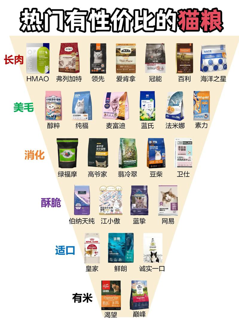 常见7种猫的性格属性有哪些，它们之间有哪些对比和差异呢？