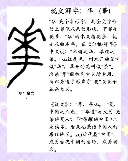 华夏一词究竟仅指汉族还是涵盖所有中国人？其背后的含义是什么？