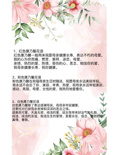 康乃馨的花语及其寓意具体是什么？