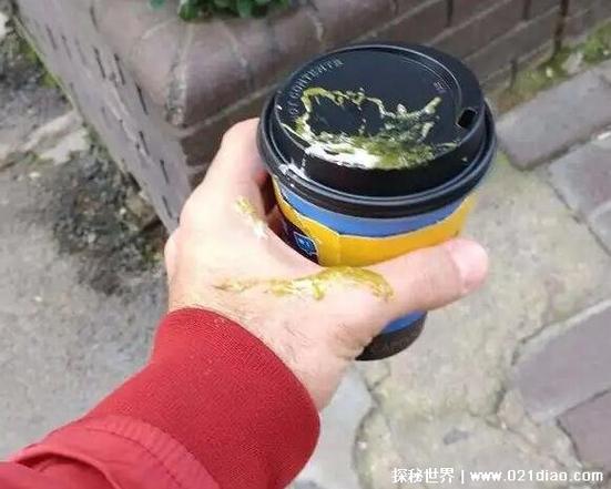 鸟粪掉身上有什么神奇预兆，竟说能带来财运？