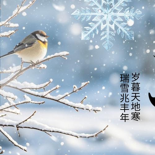 50岁以婚女人梦见下雪，预示着什么吉凶？