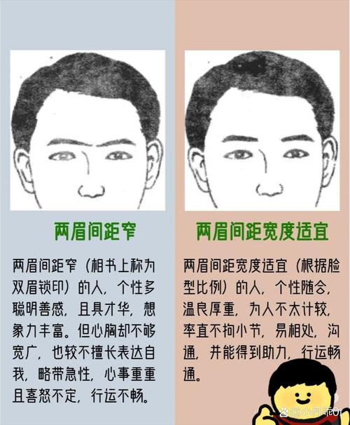 眉毛浓密的人性格特点有哪些？