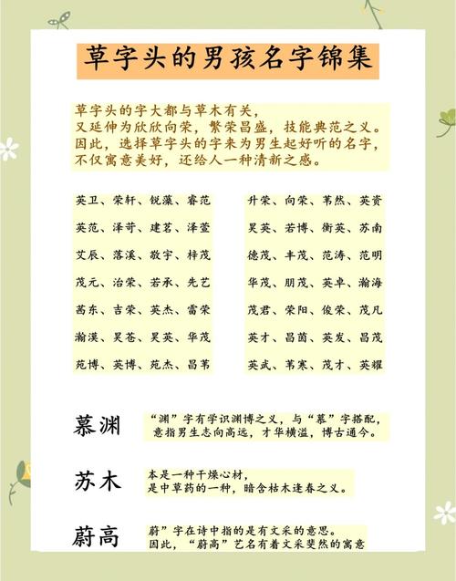 有哪些好听的带草字头的男孩名字推荐？
