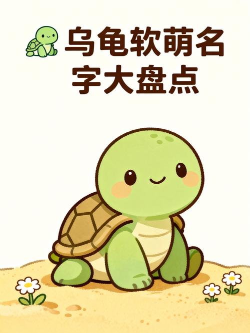有没有什么好听又寓意美好的名字可以给这只独特的乌龟取呢？