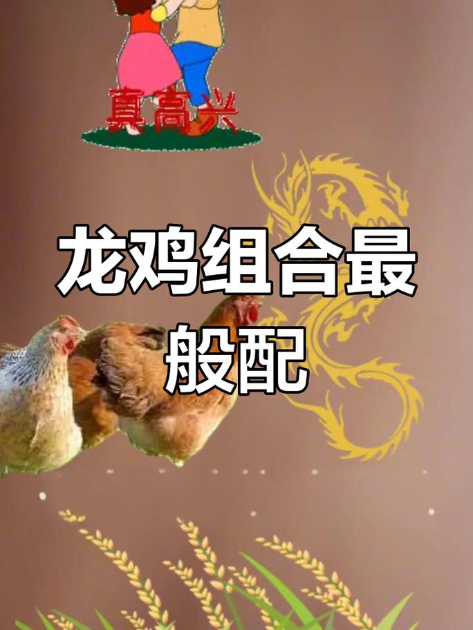 属龙和鸡哪个更旺，为什么鸡会成为龙的贵人？