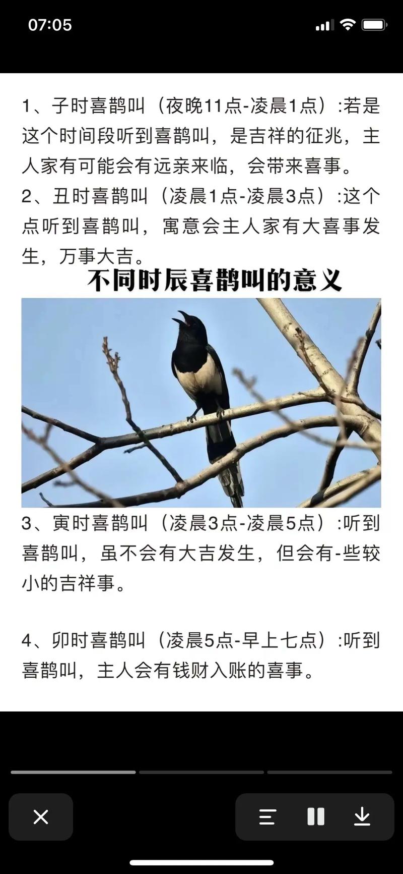 梦到抓鸟是什么预兆？周公解梦里说这代表什么吉凶？