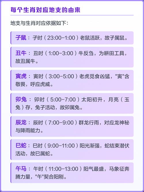十二生肖的属相是如何按照十二地支进行划分的？