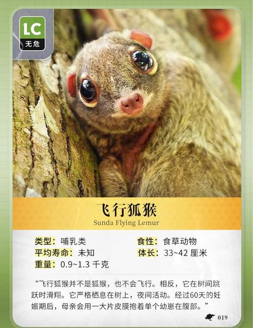 四大皆空所指的生肖动物是什么？超然物外最轻松的生肖又是哪位？