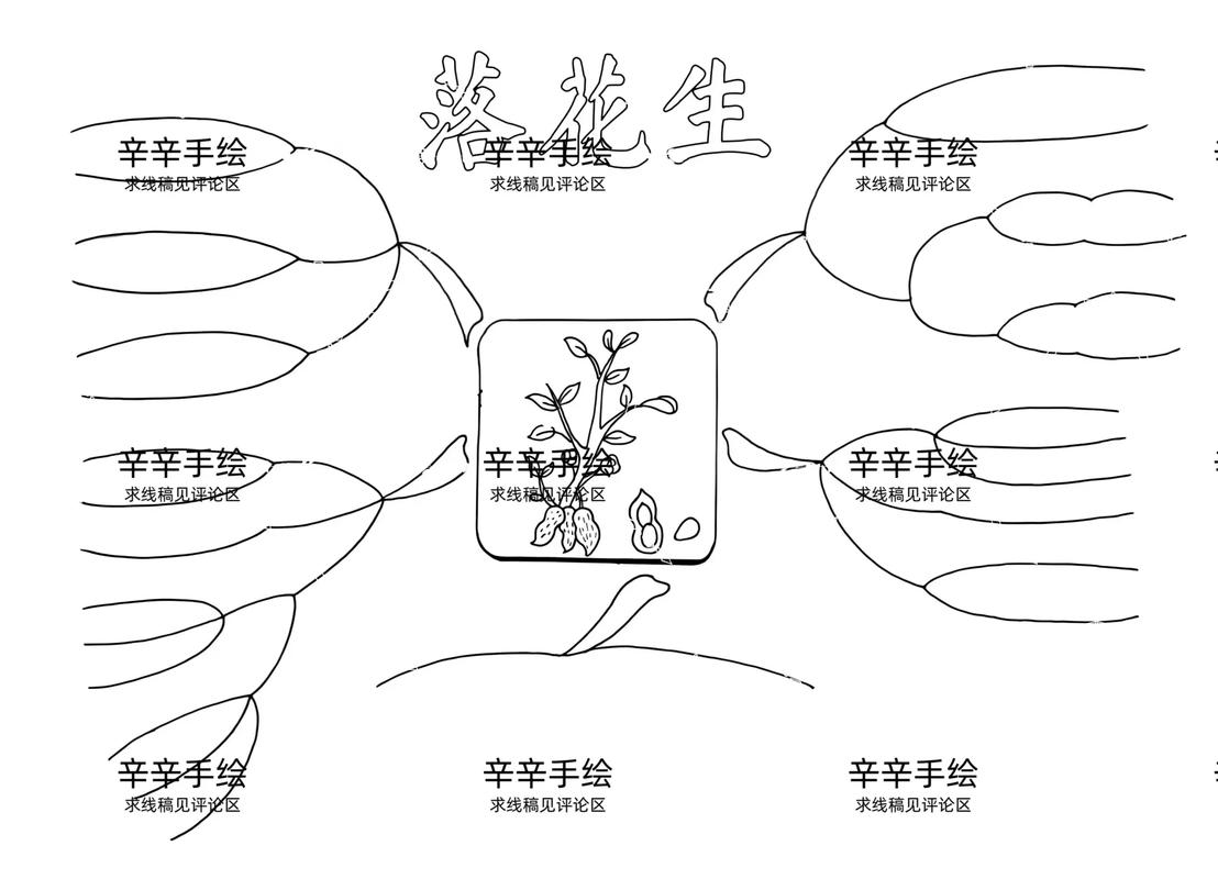 落花生的性格特点在阅读训练中是如何描述的？