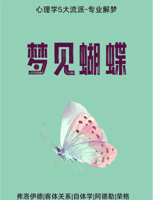 梦见蝴蝶落在身上预示着什么吉凶？