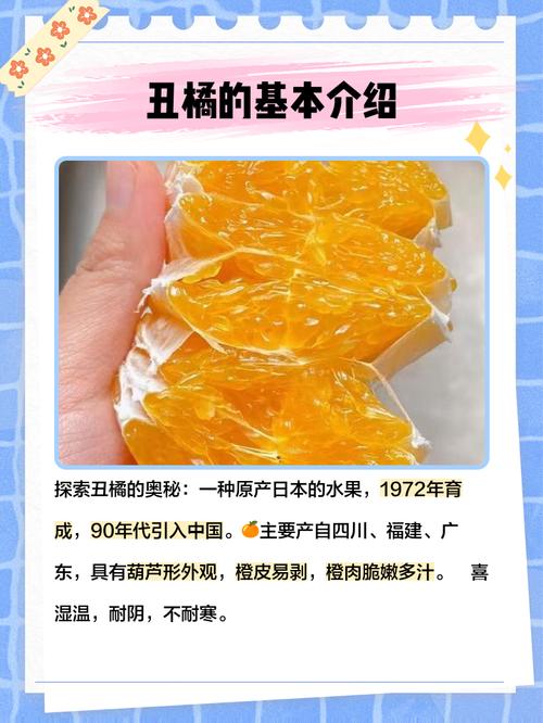 周公解梦中吃橘子发现里面有虫的梦境是什么寓意？