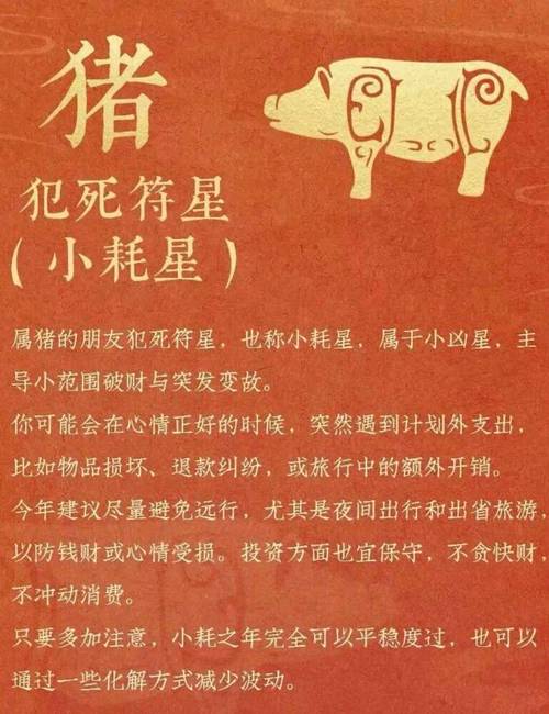 腊月出生属猪的人命运如何，是否好运连连？