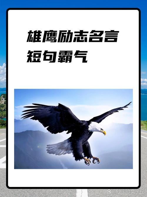鹰如何比喻那些英勇无畏、志向高远的人？