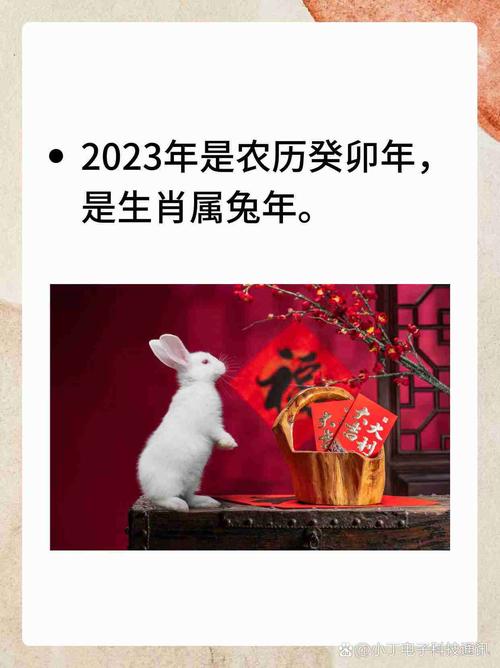 2023年62岁的人属什么生肖？