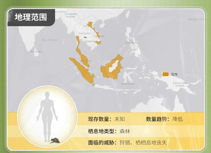 四大皆空所指的生肖动物是什么？超然物外最轻松的生肖又是哪位？