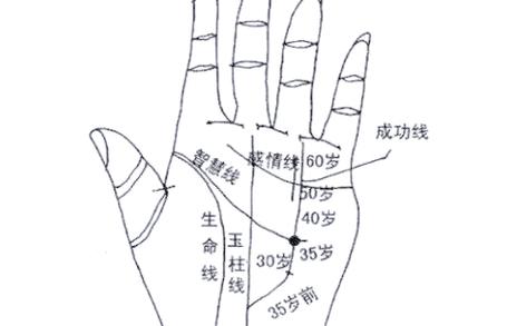如何通过手相看运势，预测张看的未来运势走向？