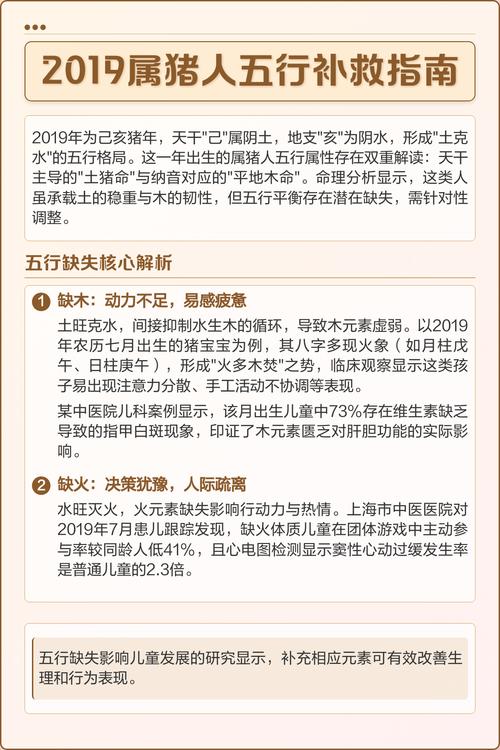 2019年属猪的人五行命理中具体是哪种命？