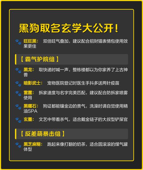 有没有黑狗男宝宝蕞吉利取名大全？