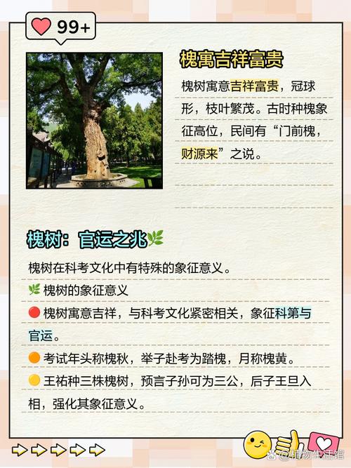 梦见槐树枝繁叶茂是什么征兆或含义？