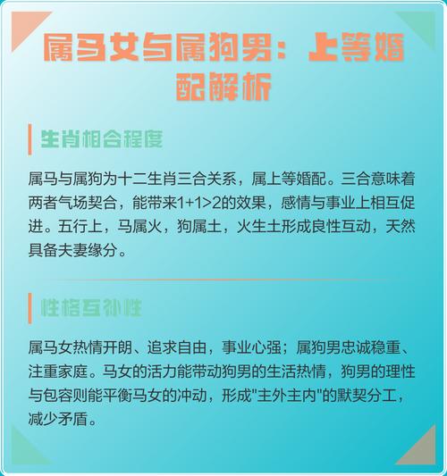 属马男和属狗女婚配是否合适，他们的性格和命运相配吗？