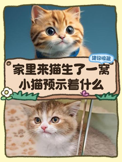 梦见家里生了一窝小猫，这是否预示着什么好事即将发生呢？