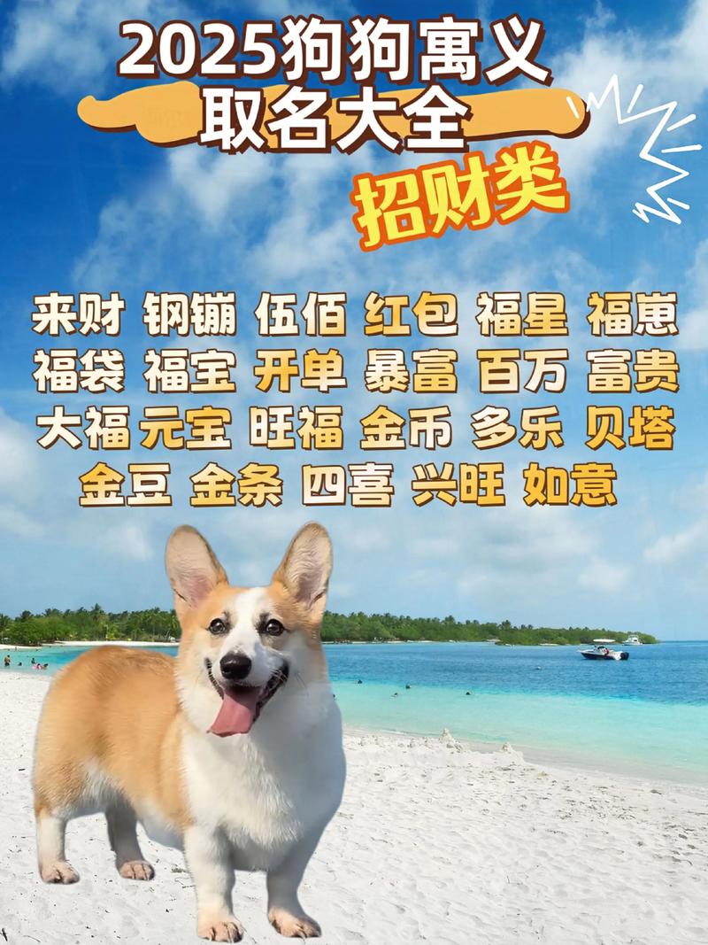 有哪些寓意吉祥的狗狗名字大全，可以给小狗起个有寓意的名字呢？
