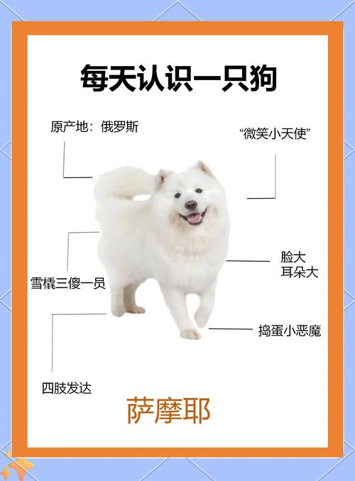有没有什么好名字适合白羊座出生的狗狗呢？