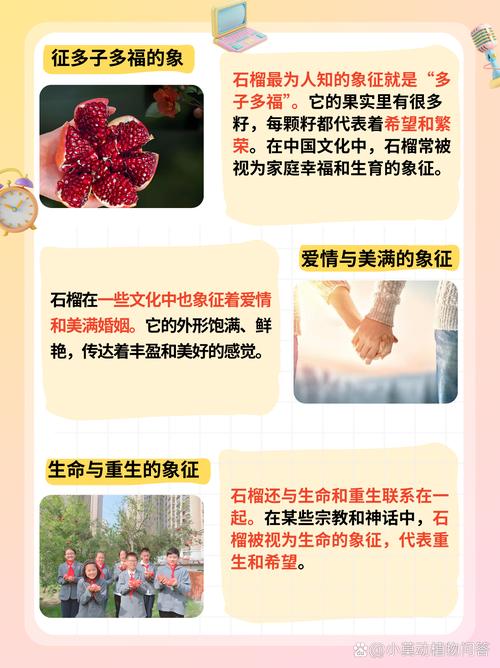 别人送石榴有什么特别的寓意或含义？
