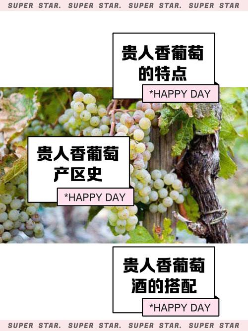 以婚女人梦见彳艮多葡萄，这代表什么含义呢？