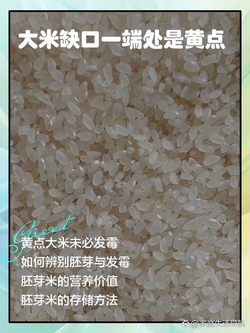 梦见米袋子里的米漏了是什么预兆？