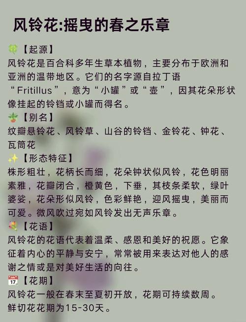 风铃的寓意和象征究竟代表了什么深层含义？